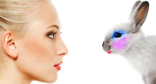 No test animali